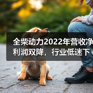 全柴动力2022年营收净利润双降，行业低迷下的应对策略（图3）