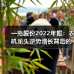 一拖股份2022年报:农机龙头逆势增长背后的战略布局 一拖股份2022年报:农机龙头逆势增长背后的战略布局(图2)