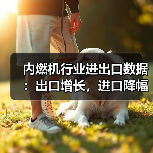 内燃机行业进出口数据：出口增长，进口降幅扩大？（图3）