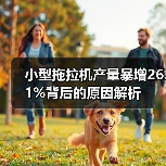 小型拖拉机产量暴增26.1%背后的原因解析 小型拖拉机产量暴增26.1%背后的原因解析(图2)