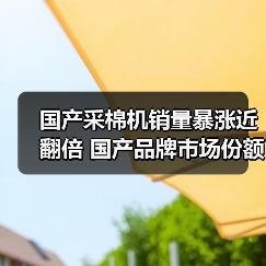 国产采棉机销量暴涨近翻倍 国产品牌市场份额突破92%！为何逆势崛起？（图2）