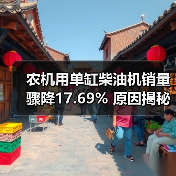 农机用单缸柴油机销量骤降17.69% 原因揭秘 农机用单缸柴油机销量骤降17.69% 原因揭秘(图4)