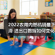 2022农用内燃机销量下滑 进出口数据如何变化? 2022农用内燃机销量下滑 进出口数据如何变化?(图2)