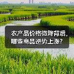 农产品价格微降背后,哪些商品逆势上涨? 农产品价格微降背后,哪些商品逆势上涨?(图3)