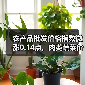 农产品批发价格指数微涨0.14点,肉类蔬菜价格波动大 农产品批发价格指数微涨0.14点,肉类蔬菜价格波动大(图4)