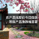 农产品批发价今日微涨,哪些产品涨跌幅显著? 农产品批发价今日微涨,哪些产品涨跌幅显著?(图2)
