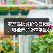 农产品批发价今日微涨,哪些产品涨跌幅显著? 农产品批发价今日微涨,哪些产品涨跌幅显著?(图4)