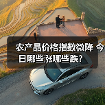 农产品价格指数微降 今日哪些涨哪些跌? 农产品价格指数微降 今日哪些涨哪些跌?(图2)
