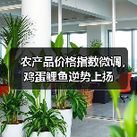 农产品价格指数微调,鸡蛋鲤鱼逆势上扬 农产品价格指数微调,鸡蛋鲤鱼逆势上扬(图1)