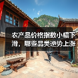农产品价格指数小幅下滑,哪些品类逆势上涨? 农产品价格指数小幅下滑,哪些品类逆势上涨?(图2)