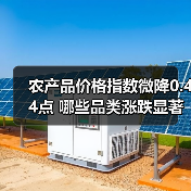 农产品价格指数微降0.44点 哪些品类涨跌显著？（图3）