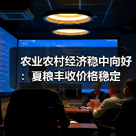 农业农村经济稳中向好:夏粮丰收价格稳定 农业农村经济稳中向好:夏粮丰收价格稳定(图4)