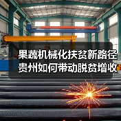 果蔬机械化扶贫新路径 贵州如何带动脱贫增收? 果蔬机械化扶贫新路径 贵州如何带动脱贫增收?(图1)