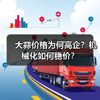 大蒜价格为何高企?机械化如何稳价? 大蒜价格为何高企?机械化如何稳价?(图2)
