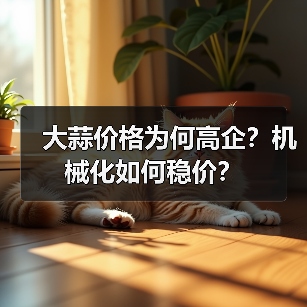 大蒜价格为何高企?机械化如何稳价? 大蒜价格为何高企?机械化如何稳价?(图1)