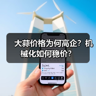 大蒜价格为何高企?机械化如何稳价? 大蒜价格为何高企?机械化如何稳价?(图3)