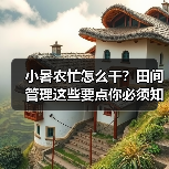 小暑农忙怎么干?田间管理这些要点你必须知道! 小暑农忙怎么干?田间管理这些要点你必须知道!(图2)