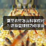 夏至农忙怎么科学应对?这些管理技巧你掌握了吗? 夏至农忙怎么科学应对?这些管理技巧你掌握了吗?(图2)