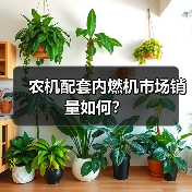农机配套内燃机市场销量如何? 农机配套内燃机市场销量如何?(图2)
