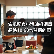 农机配套小汽油机销量暴跌18.63%背后的原因何在? 农机配套小汽油机销量暴跌18.63%背后的原因何在?(图2)