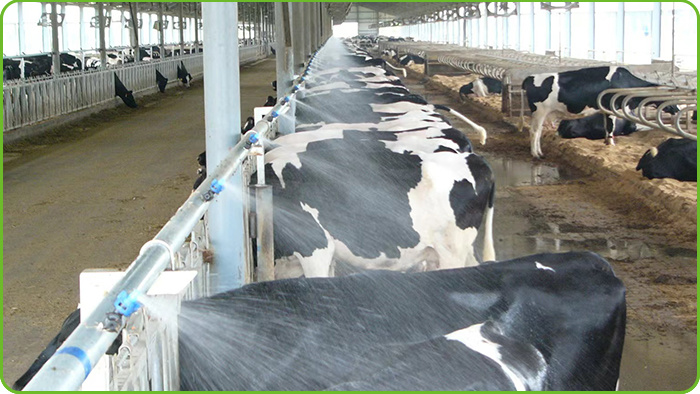 饮水与环境控制系统一体化解决方案