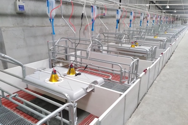 畜牧机械行业动态解析｜5大趋势及新品发布速递