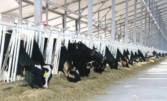 畜牧机械行业动态解析|5大趋势及新品发布速递 畜牧机械行业动态解析|5大趋势及新品发布速递