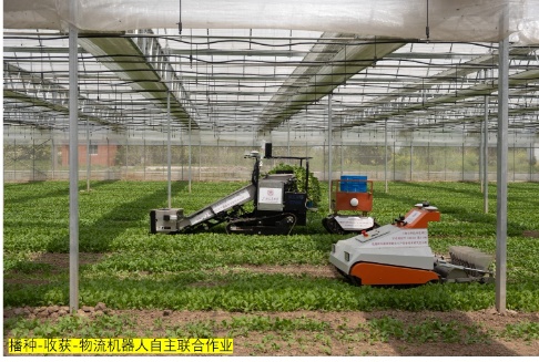 牧科机械发布最新农业装备升级方案：高效收割机与智能播种机全面提升