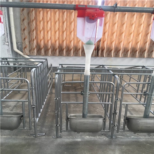 现代养殖设备：如何选择适合你的养殖场设备