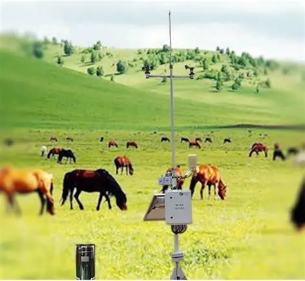 农业养殖为何离不开温湿度传感器？智能化管理提升养殖效益