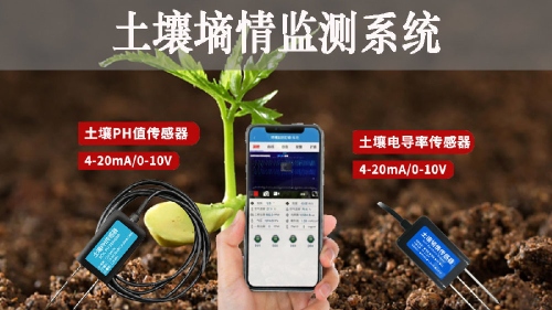 农业养殖为何离不开温湿度传感器？智能化管理提升养殖效益