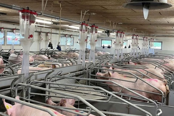 从入门到精通:养殖业必备的畜牧器械大全,助你成就养殖业巨头! 从入门到精通:养殖业必备的畜牧器械大全,助你成就养殖业巨头!